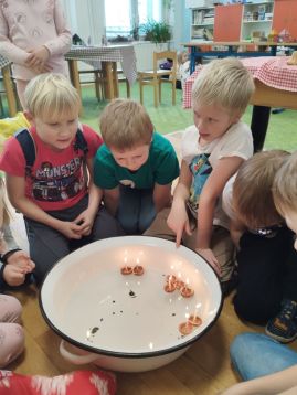 Fotografie img-20251219-115416_original.jpg