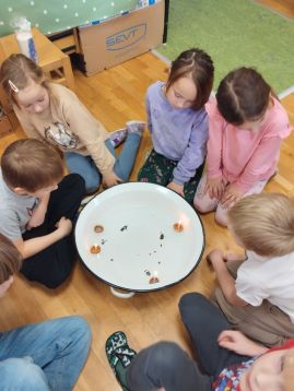 Fotografie img-20251219-120950_original.jpg