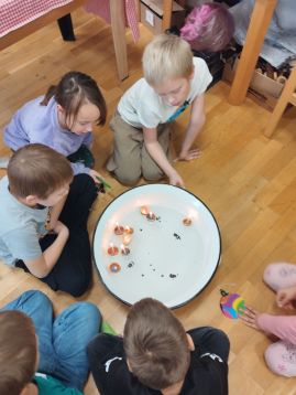 Fotografie img-20251219-121931_original.jpg