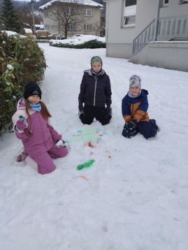 Fotografie img-20260105-134746_original.jpg