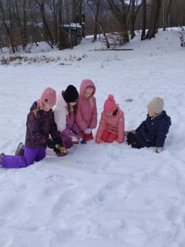 Fotografie img-20260106-134413_original.jpg