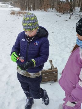 Fotografie img-20260108-134915_original.jpg