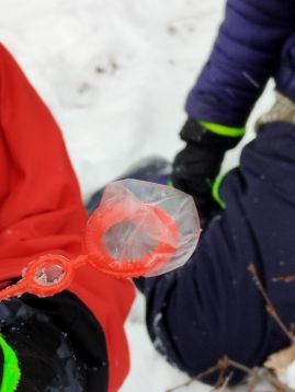 Fotografie img-20260108-135052_original.jpg