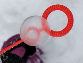 Fotografie img-20260108-135348_original.jpg