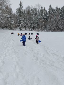 Fotografie img-20260113-134234_1_original.jpg