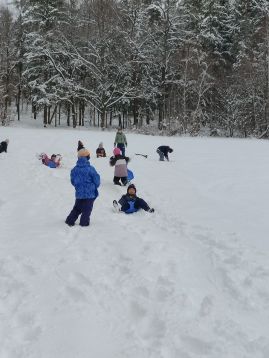 Fotografie img-20260113-134239_1_original.jpg