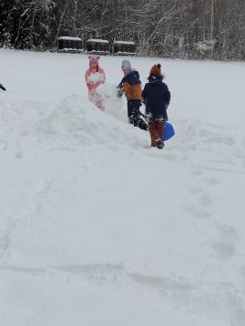 Fotografie img-20260113-135523_1_original.jpg