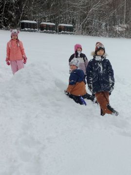 Fotografie img-20260113-140352_1_original.jpg