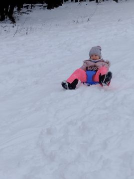 Fotografie img-20260114-134439_original.jpg