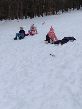 Fotografie img-20260114-134716_original.jpg