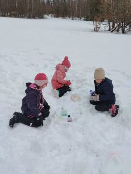 Fotografie img-20260114-140230_original.jpg