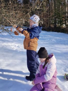 Fotografie img-20260120-134809_original.jpg