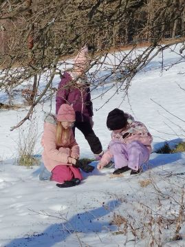 Fotografie img-20260120-134826_original.jpg