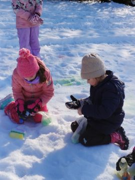 Fotografie img-20260120-140814_original.jpg