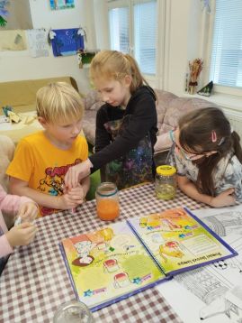 Fotografie img-20260127-123615_original.jpg