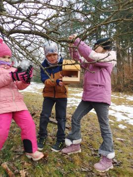 Fotografie img-20260205-132955_original.jpg