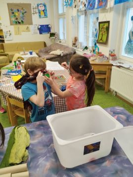 Fotografie img-20260206-144310_original.jpg