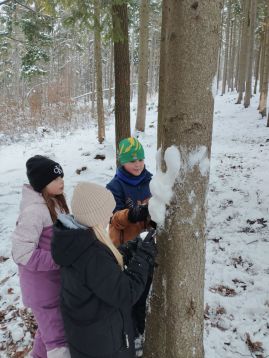 Fotografie img-20260217-135832_original.jpg