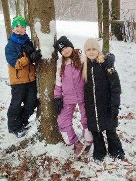 Fotografie img-20260217-140749_original.jpg