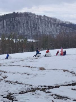 Fotografie img-20260218-134552_original.jpg