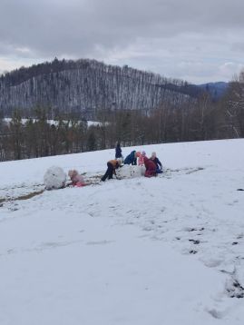 Fotografie img-20260218-134727_original.jpg