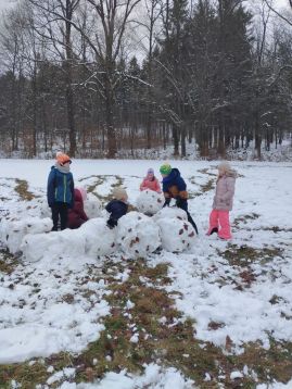 Fotografie img-20260218-135526_original.jpg