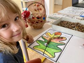 Fotografie img-1850_original.jpeg