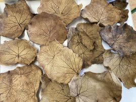 Fotografie img-8391_original.jpeg