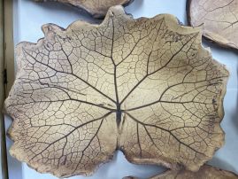 Fotografie img-8393_original.jpeg