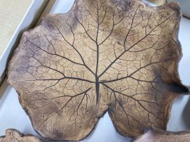 Fotografie img-8395_original.jpeg