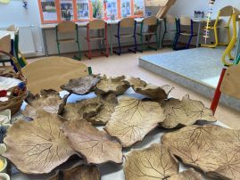 Fotografie img-8398_original.jpeg