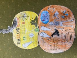 Fotografie img-8632_original.jpeg