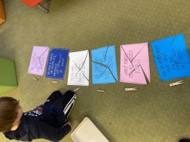 Fotografie img-8725_original.jpeg