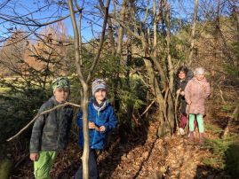 Fotografie img-8745_original.jpeg