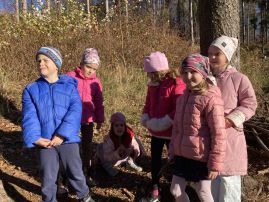 Fotografie img-8746_original.jpeg