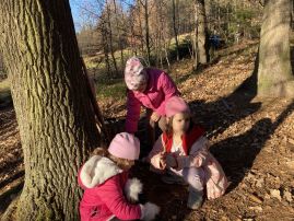 Fotografie img-8748_original.jpeg