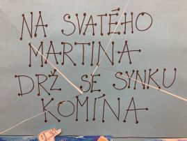 Fotografie img-8771_original.jpeg