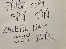 Fotografie img-8773_original.jpeg