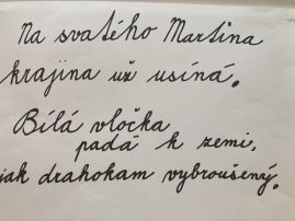 Fotografie img-8777_original.jpeg