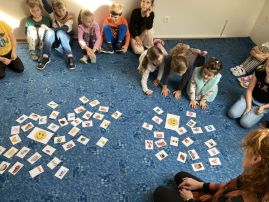 Fotografie img-8800_original.jpeg