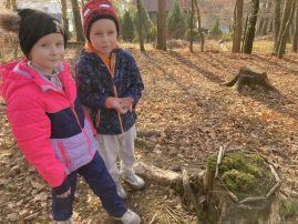 Fotografie img-8805_original.jpeg