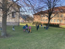 Fotografie img-8807_original.jpeg