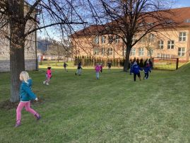 Fotografie img-8812_original.jpeg