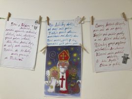 Fotografie img-8995_original.jpeg