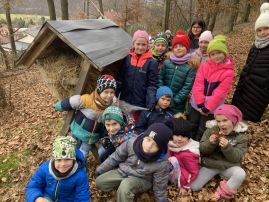 Fotografie img-9082_original.jpeg