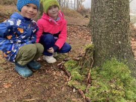 Fotografie img-9100_original.jpeg