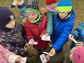 Fotografie img-9102_original.jpeg