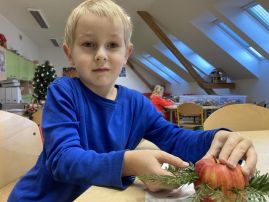 Fotografie img-9135_original.jpeg