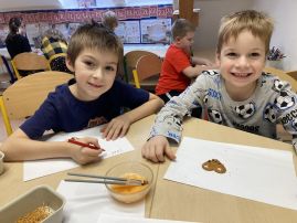 Fotografie img-9165_original.jpeg