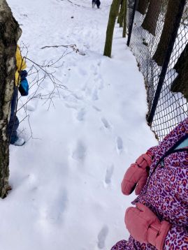 Fotografie img-9407_original.jpeg